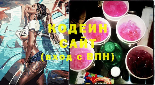 сатива Кулебаки