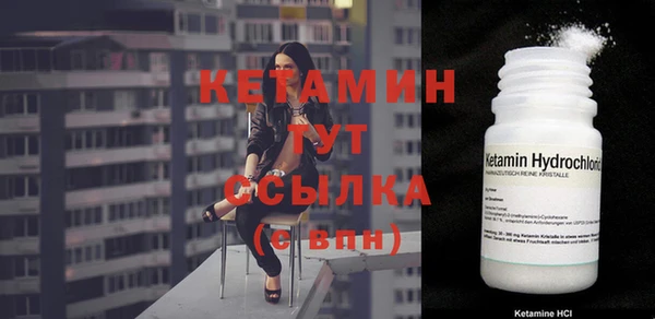 сатива Кулебаки