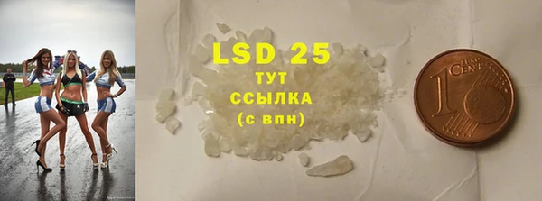 сатива Кулебаки