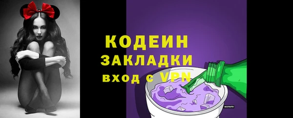 сатива Кулебаки