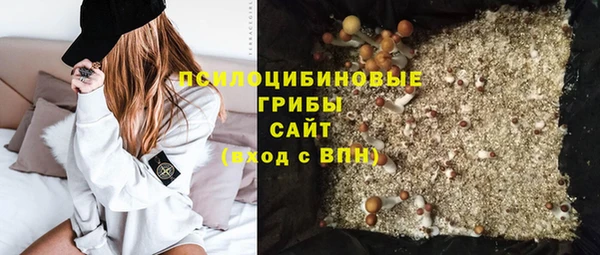 метадон Лагань
