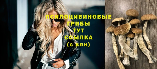 метадон Лагань